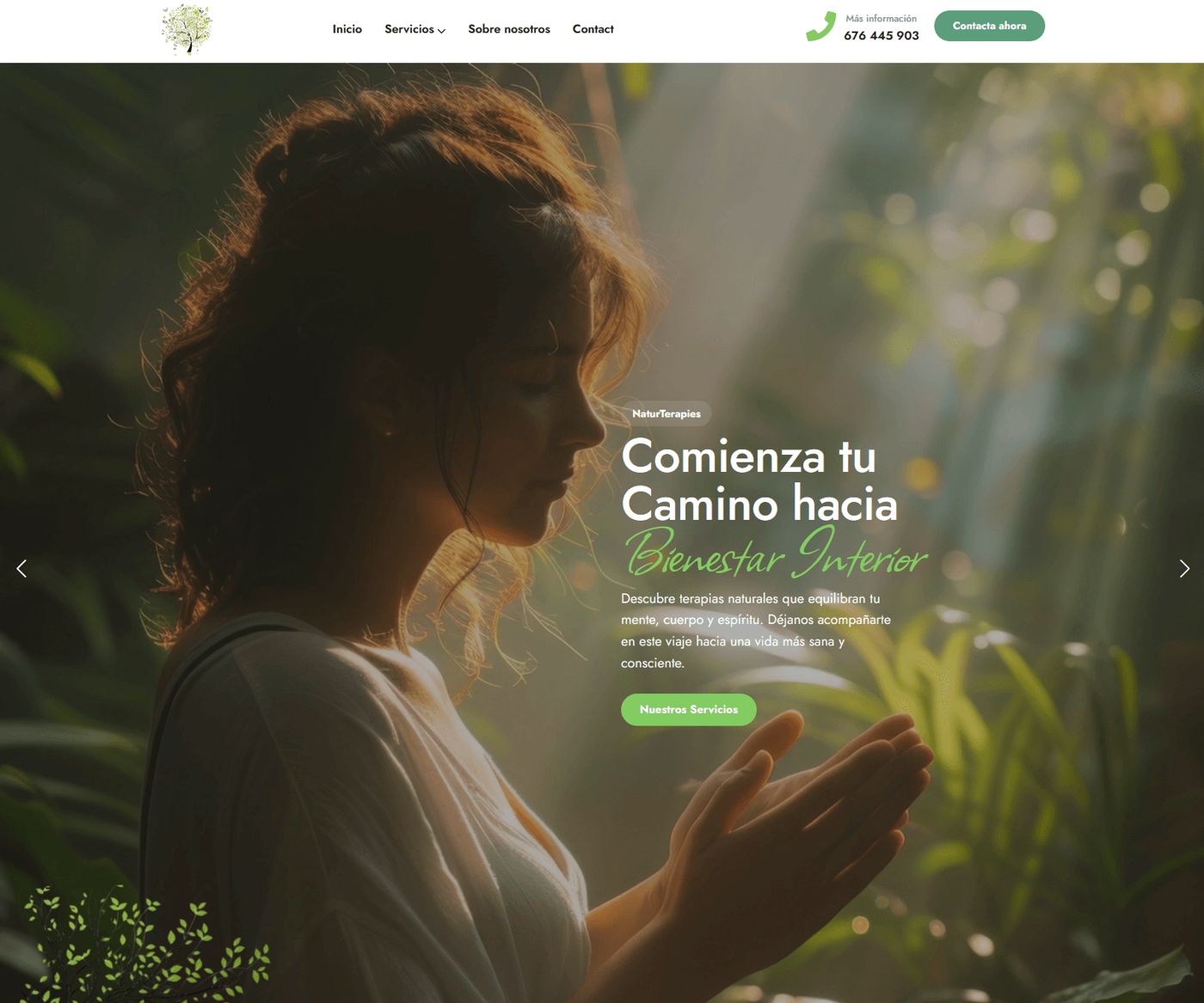 Portada de NaturTerapies